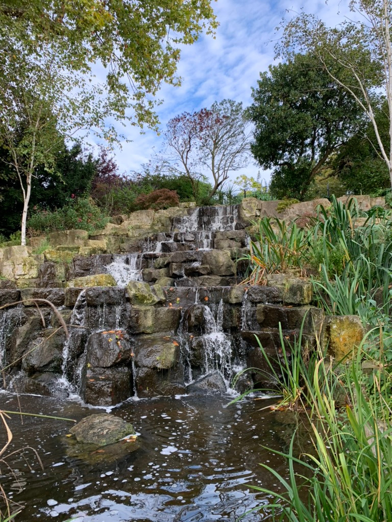 Photo of a pond in a park in London